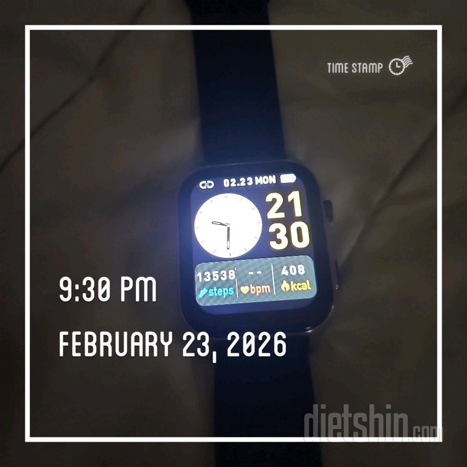 30일 만보 걷기20일차 성공!