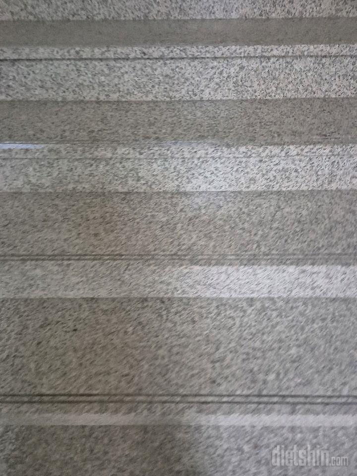 15일 계단 오르기49일차 성공!