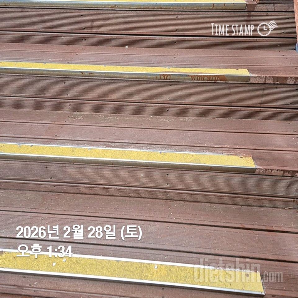 15일 계단 오르기53일차 성공!