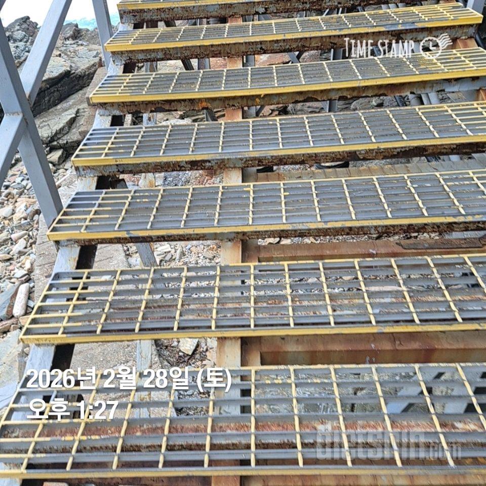 15일 계단 오르기53일차 성공!