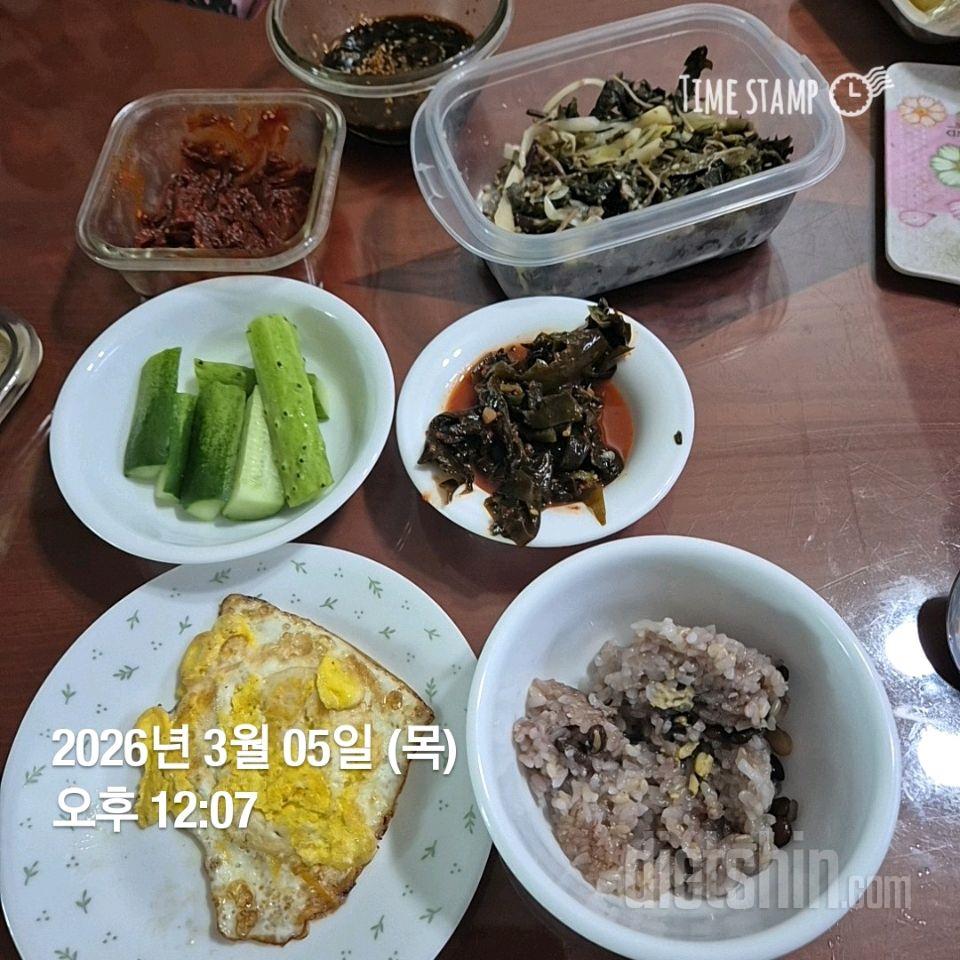 7일 하루 1끼 야채먹기79일차 성공!