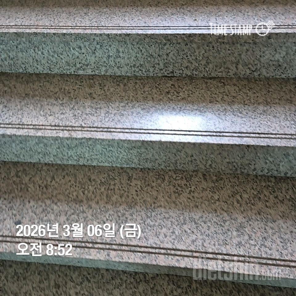 15일 계단 오르기48일차 성공!