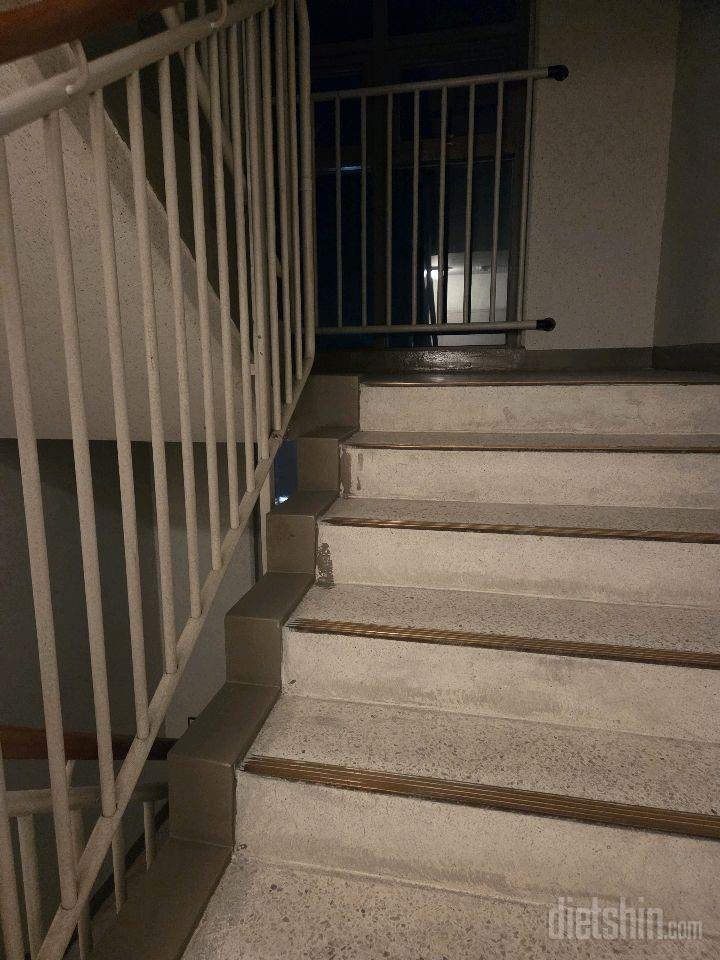 15일 계단 오르기5일차 성공!