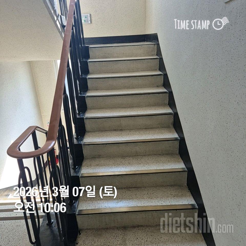 15일 계단 오르기49일차 성공!