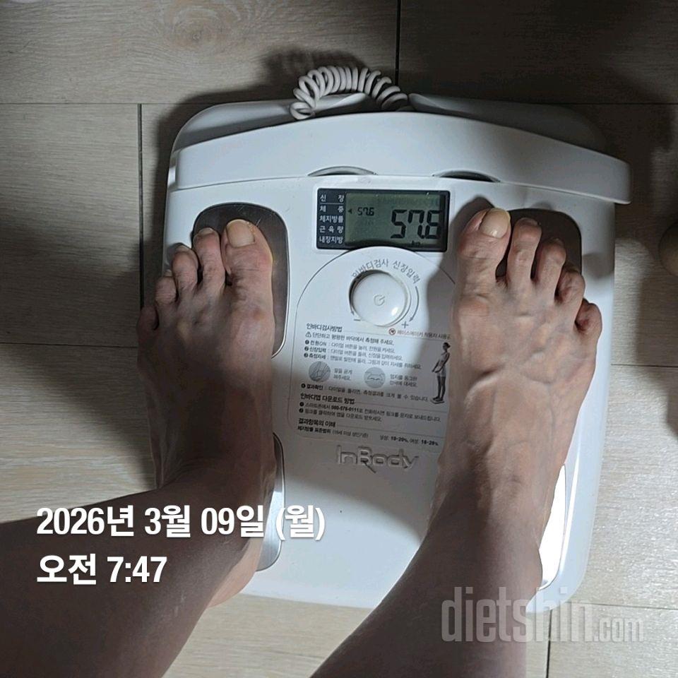 7일 아침 몸무게 재기179일차 성공!