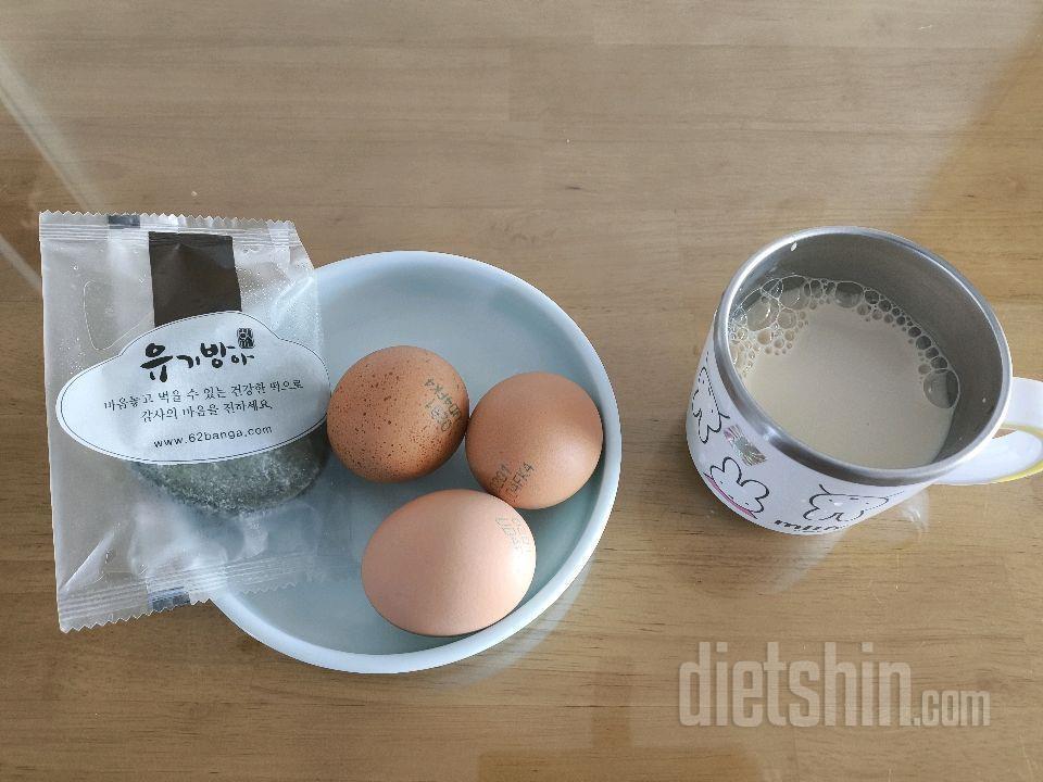 3월9일(마이옵티멀 준비기)