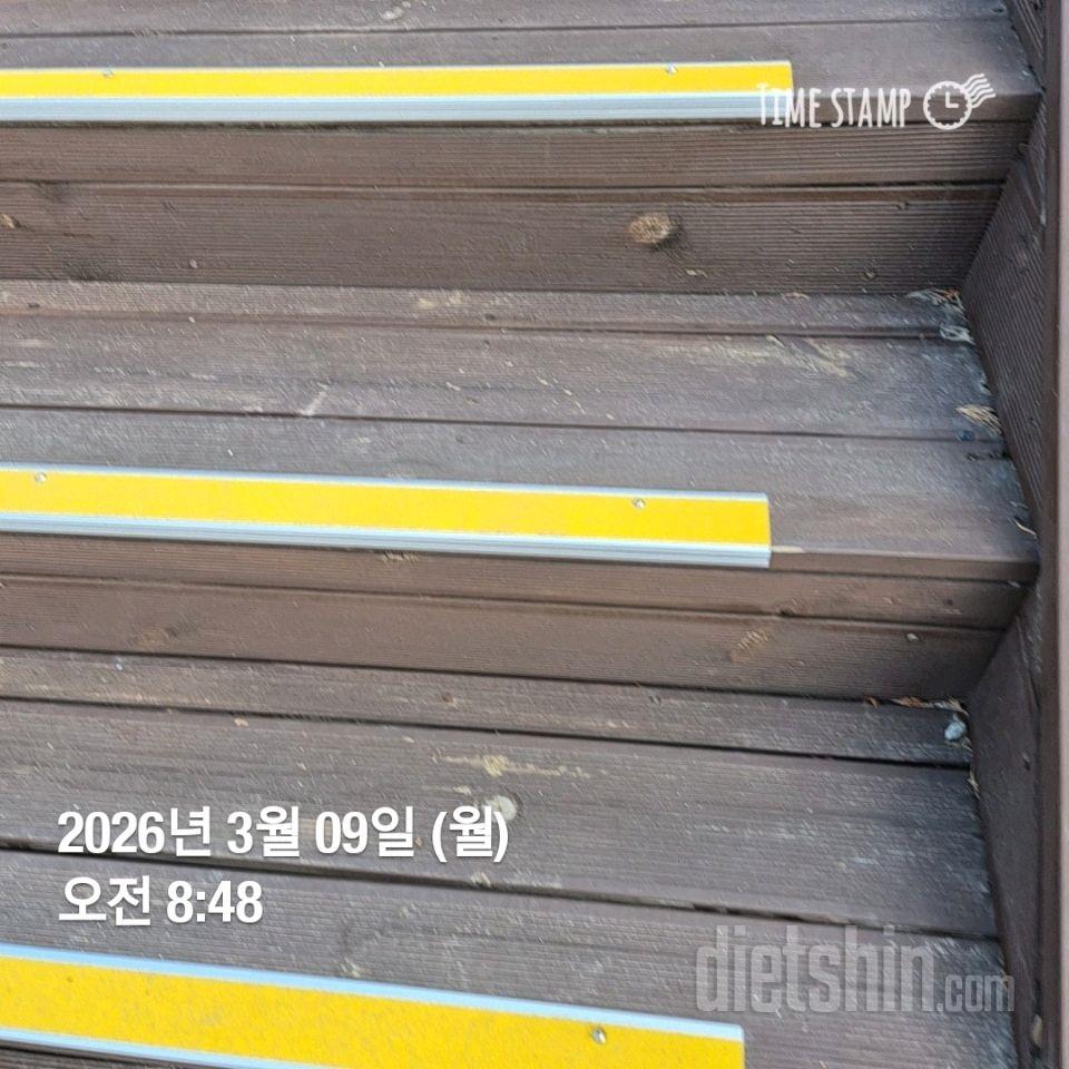 15일 계단 오르기51일차 성공!