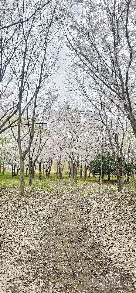 30일 만보 걷기2일차 성공!