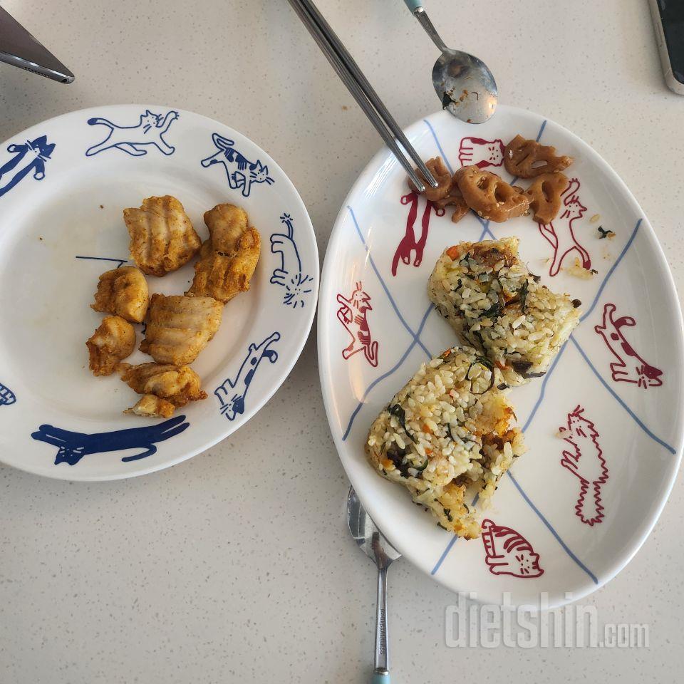 닭가슴살 싫어해서 식단 암두도 못 내