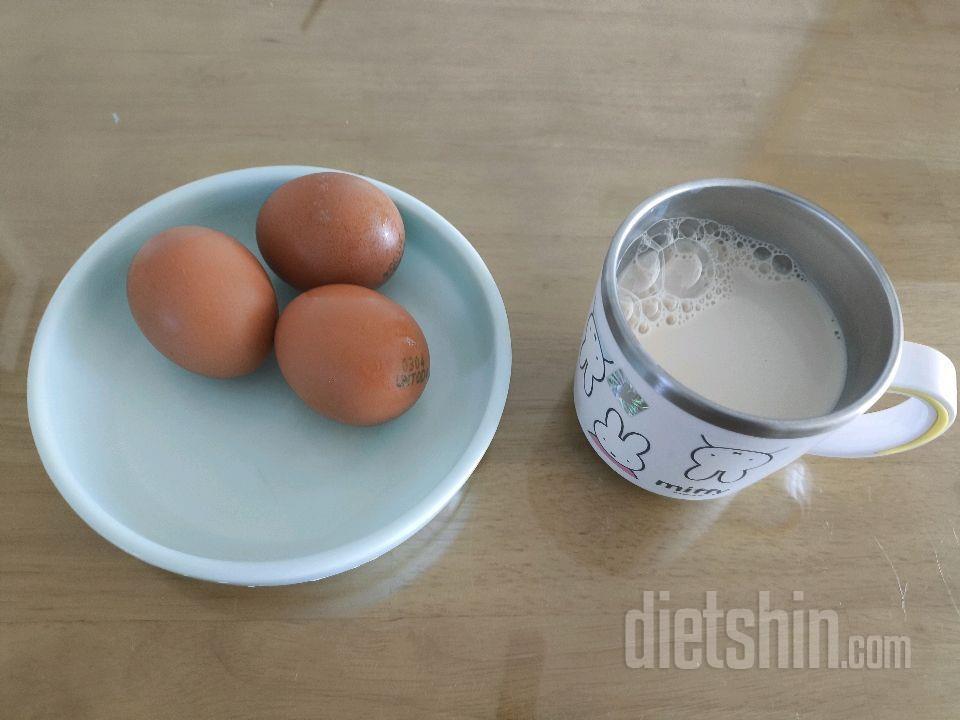 4월7일(마이옵티멀 준비기)