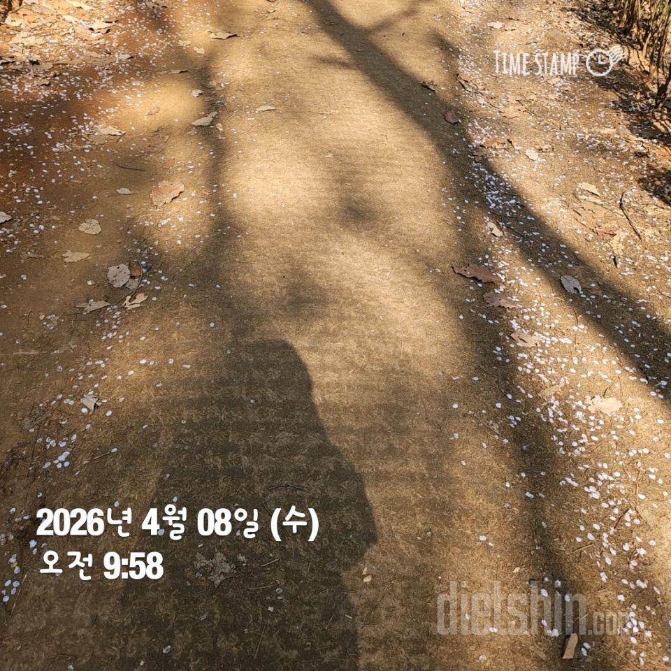 30일 유산소 운동2일차 성공!