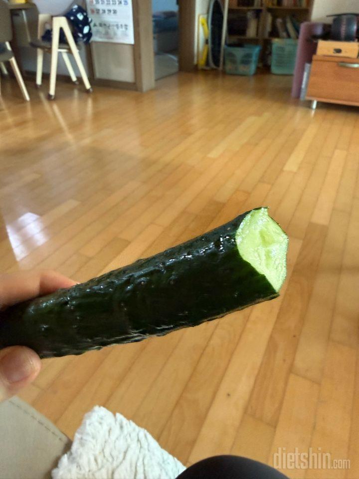 7일 하루 1끼 야채먹기2일차 성공!