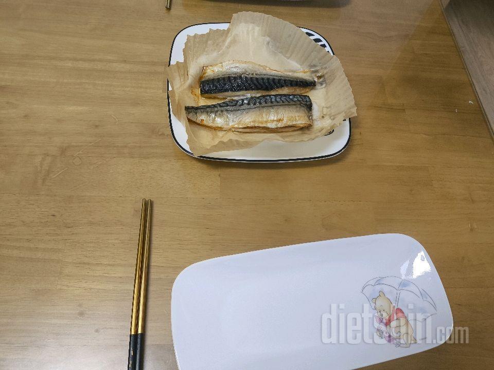 4월9일(마이옵티멀 준비기)