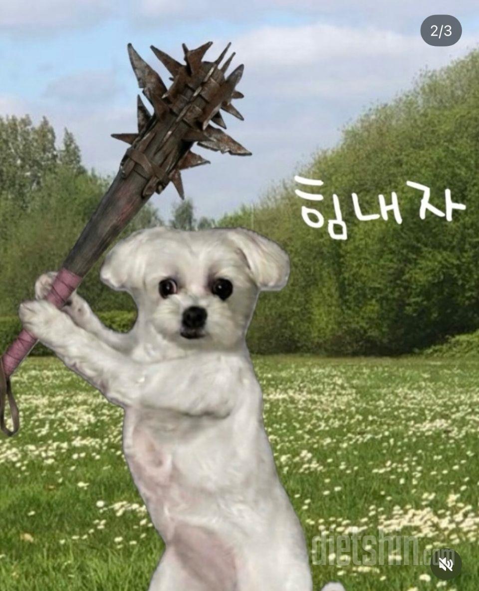 와 이거 진짜 달고 맛있어요 ㅋㅋㅋㅋ