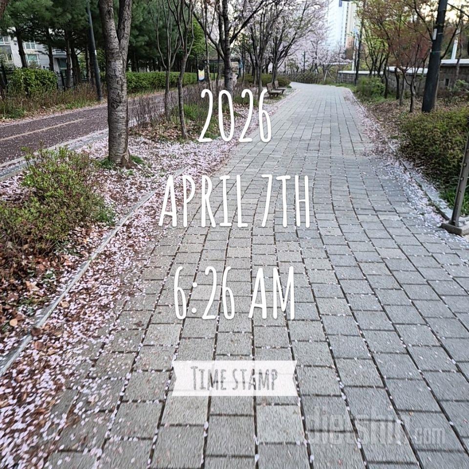 4월 7,8,9/ 3일치를 올립니다😆