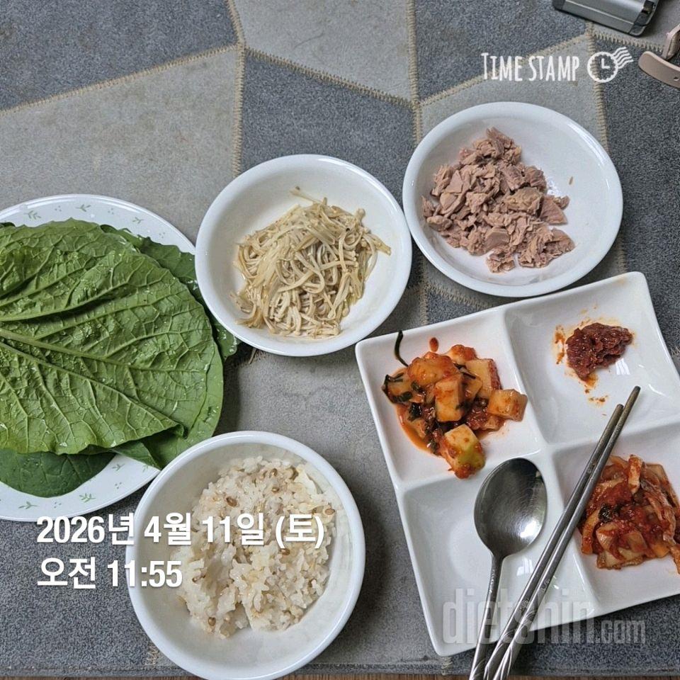 7일 하루 1끼 야채먹기116일차 성공!