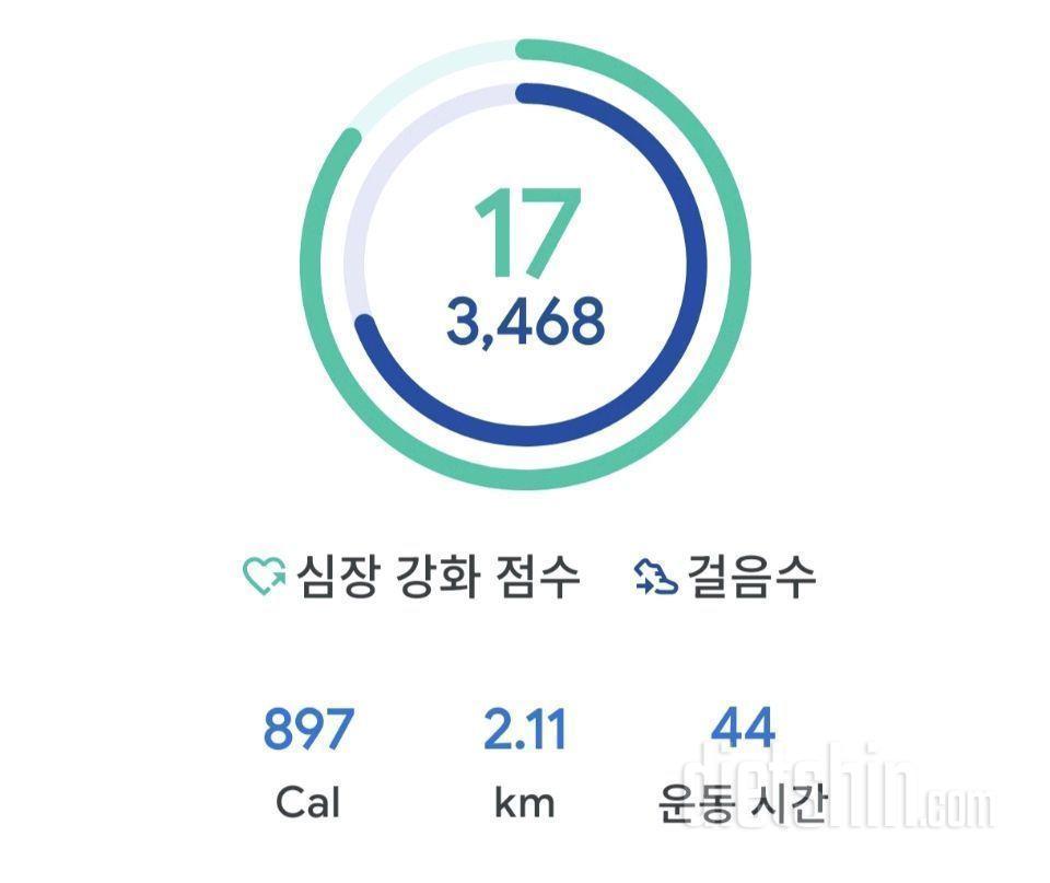 4월12일(마이옵티멀 준비기)