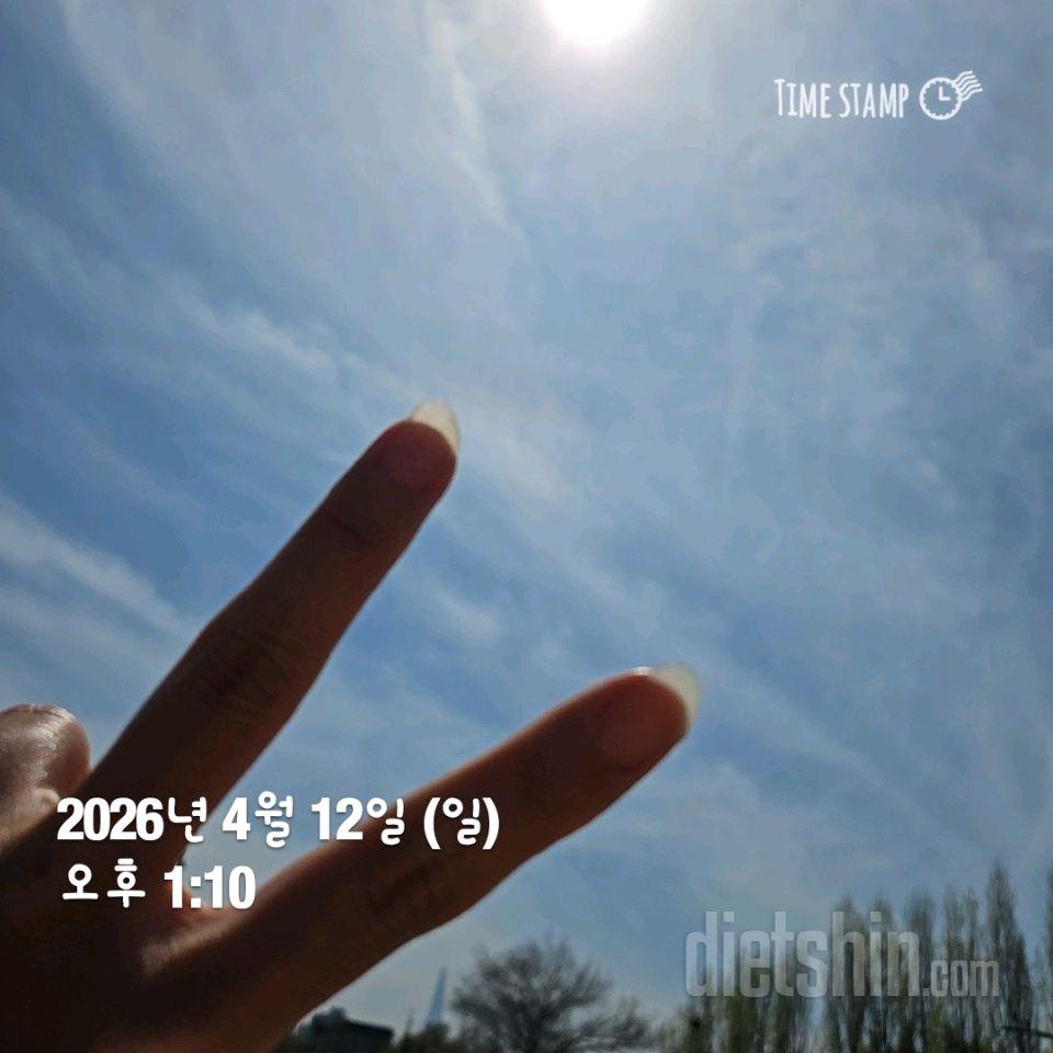 30일 유산소 운동4일차 성공!