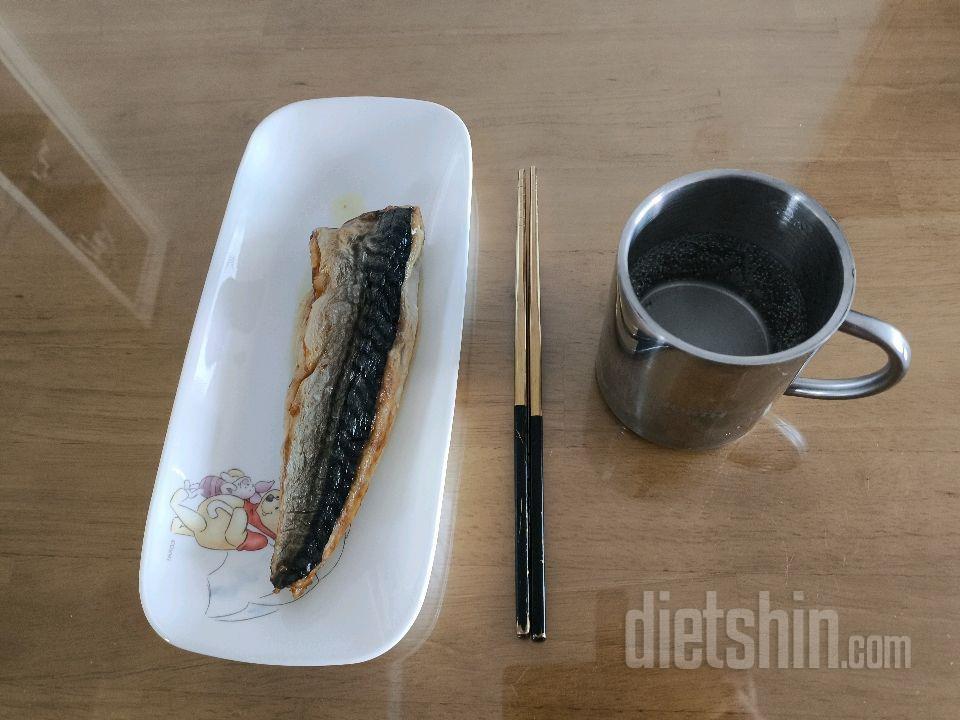 4월13일(마이옵티멀 준비기)