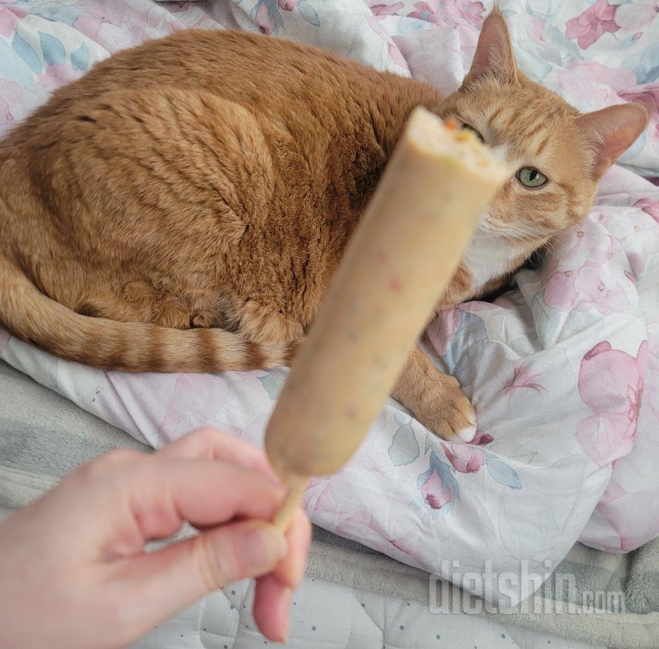 마싯어요. 세일해도 사먹고 늘 사먹는