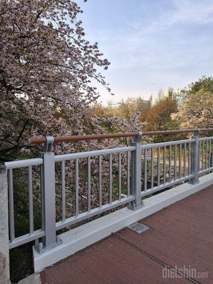 04월 13일( 저녁식사 1095kcal)