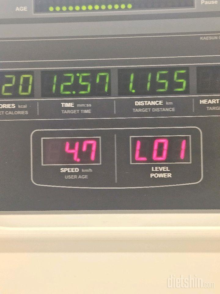 30일 유산소 운동33일차 성공!