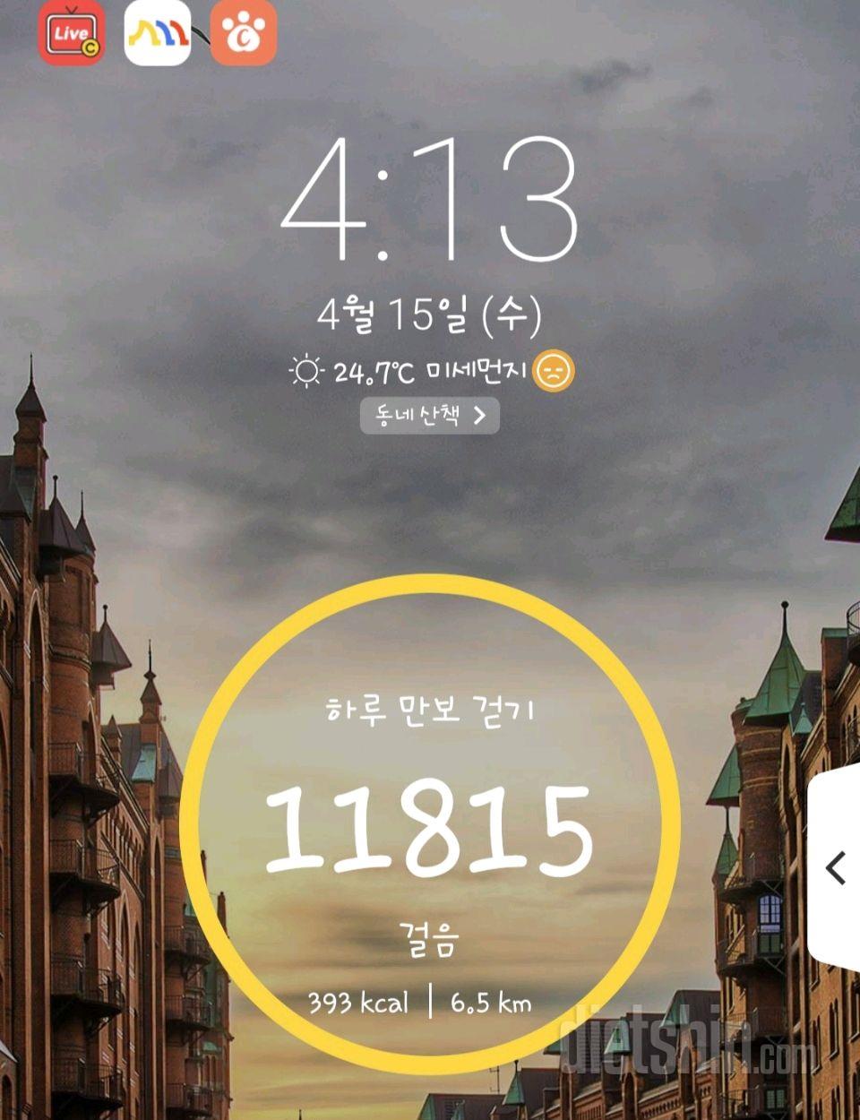 30일 만보 걷기인증 3일차 성공!