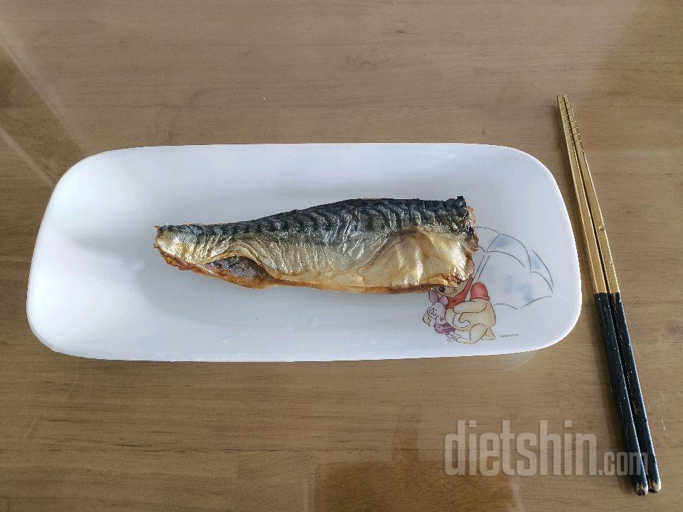 4월16일(마이옵티멀 준비기)