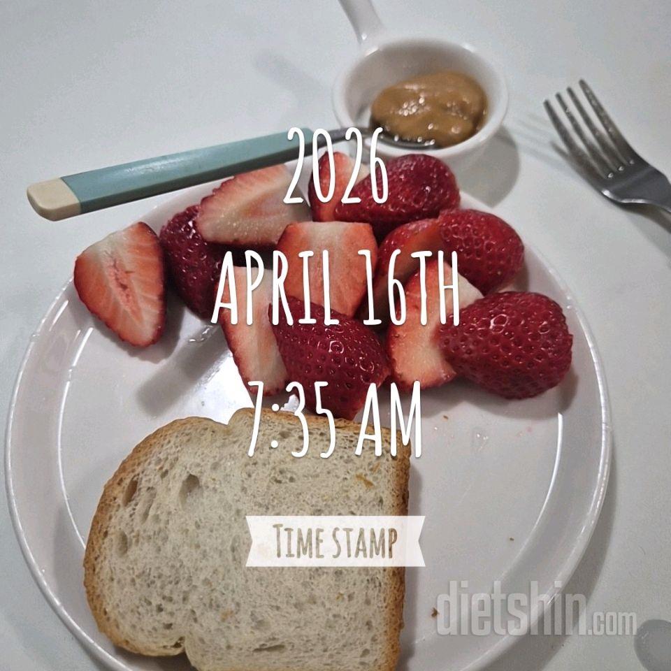 15일 16일 / 수욜목욜