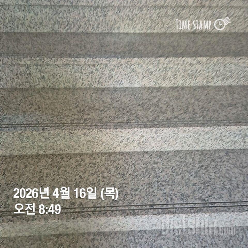 15일 계단 오르기80일차 성공!