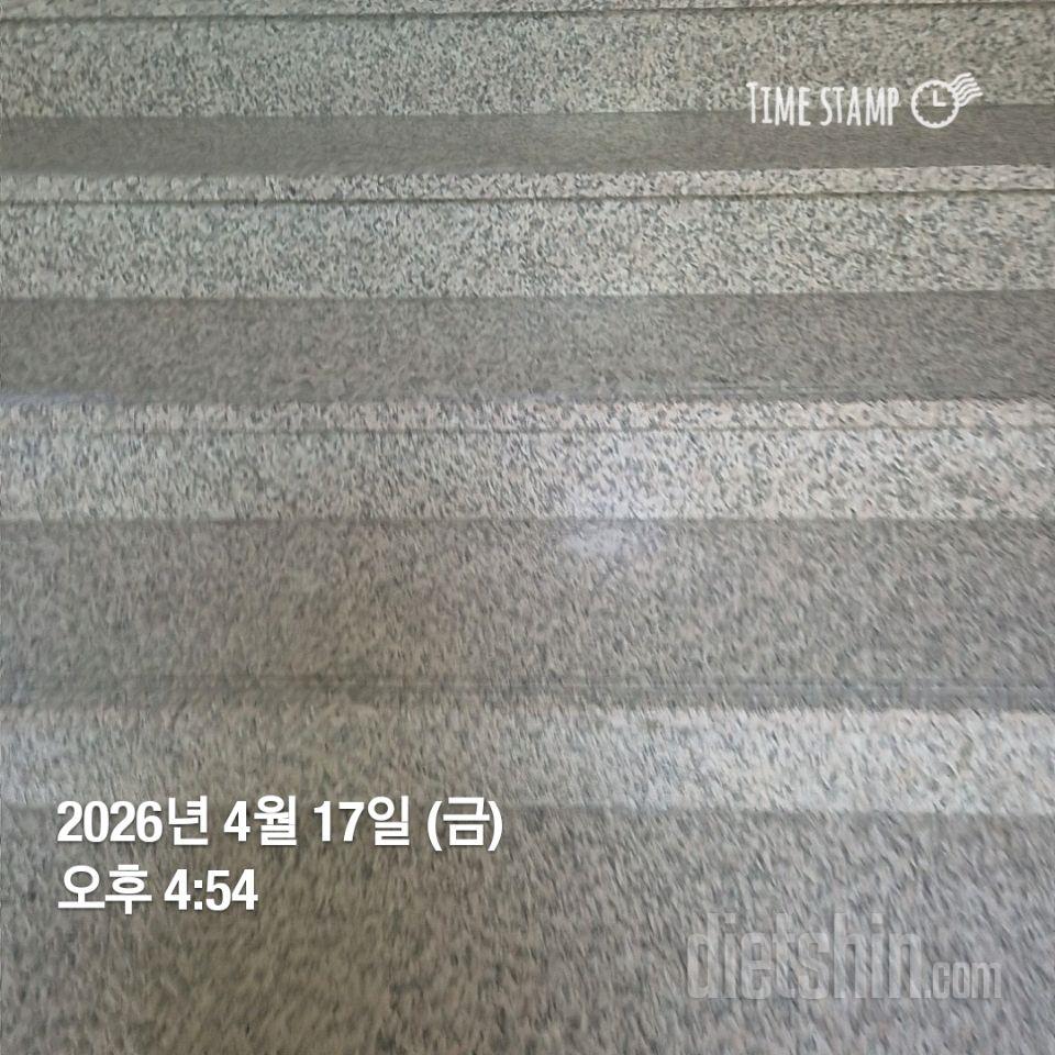 15일 계단 오르기81일차 성공!