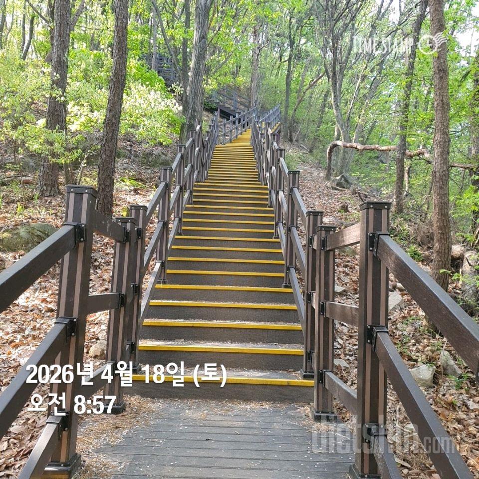15일 계단 오르기38일차 성공!