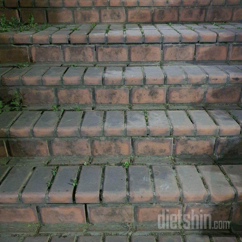 15일 계단 오르기39일차 성공!