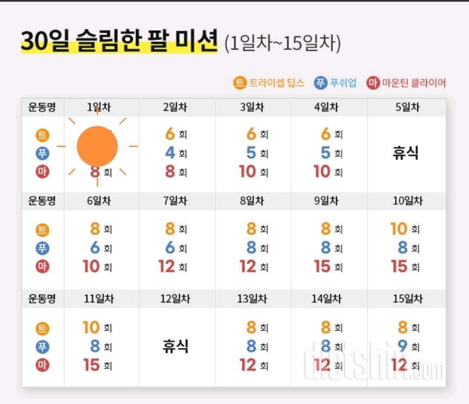30일 슬림한 팔 1일차 성공!