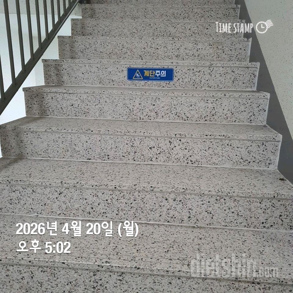 15일 계단 오르기40일차 성공!