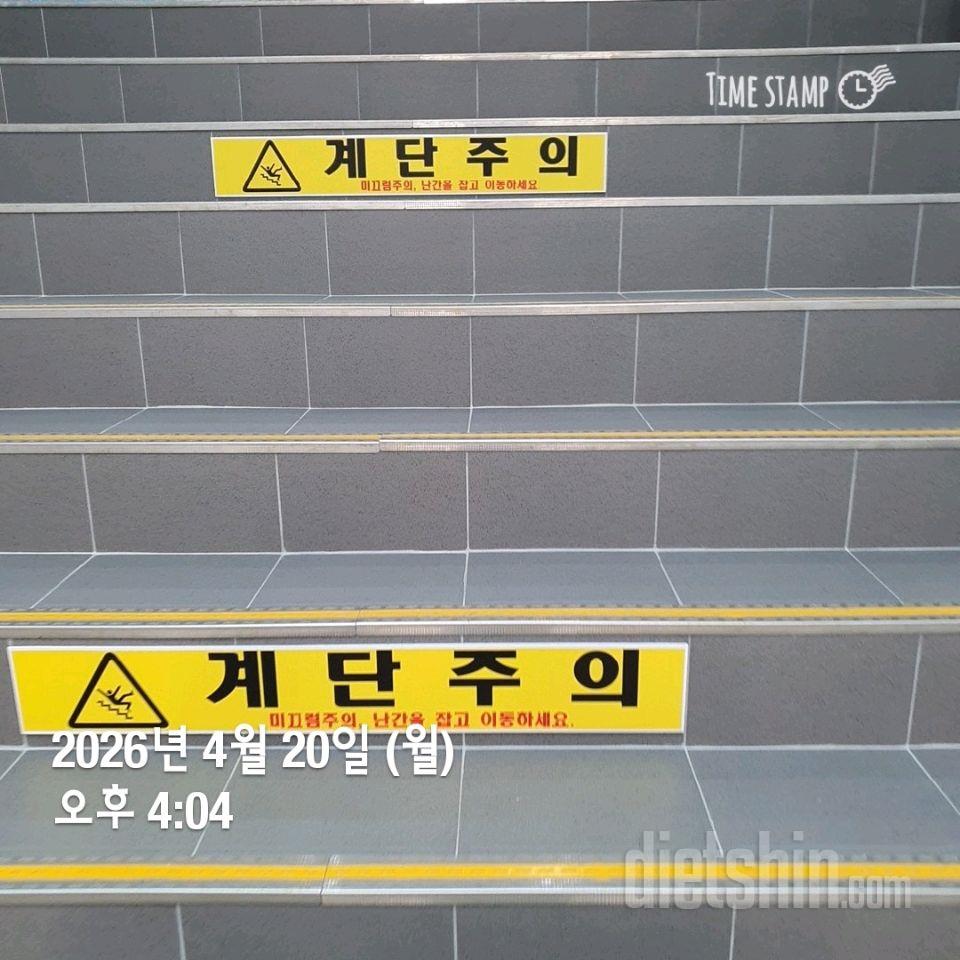 15일 계단 오르기40일차 성공!