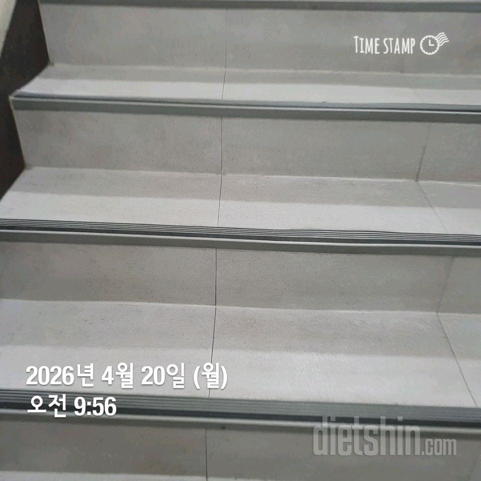 15일 계단 오르기40일차 성공!