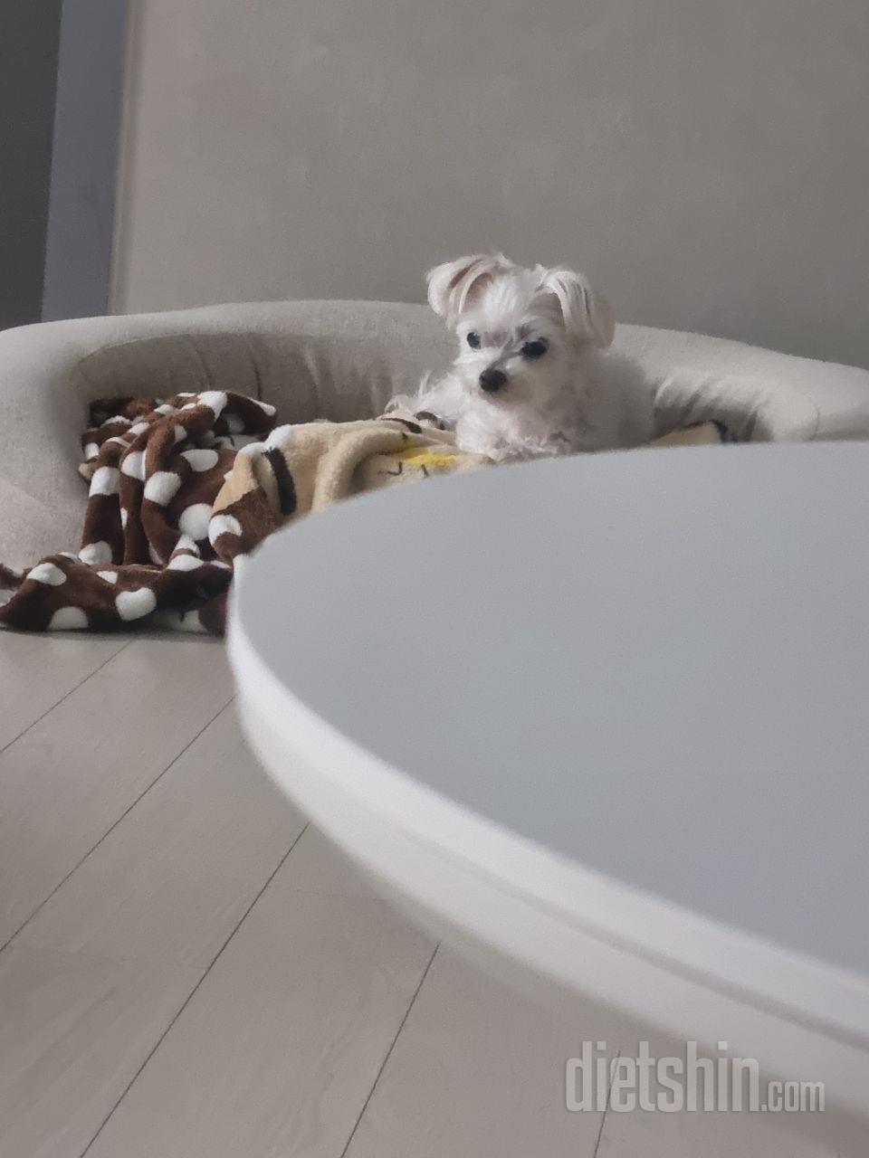 일단 맛있다. 그리고 저렴하다.
사내