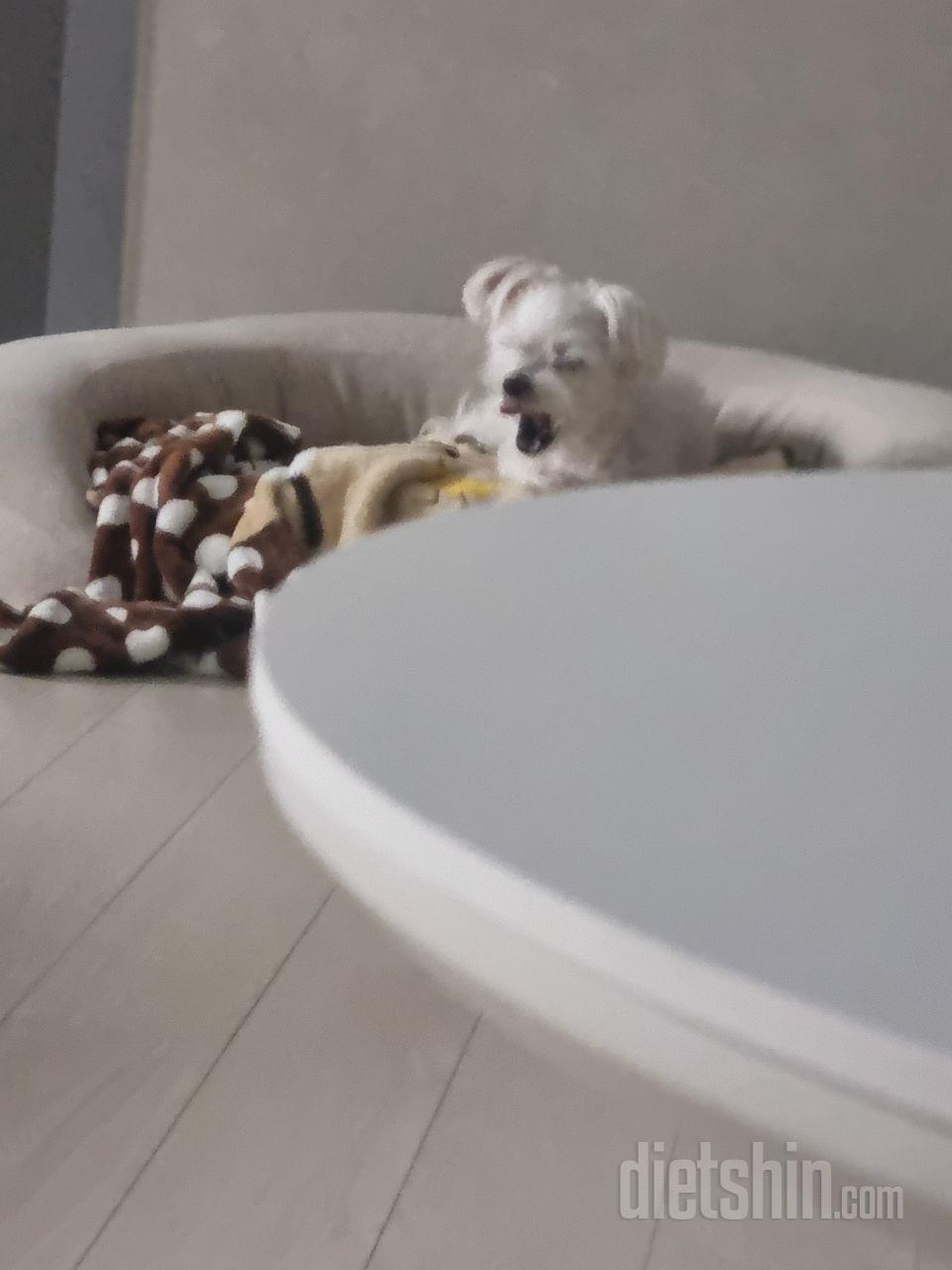 일단 맛있다. 그리고 저렴하다.
사내