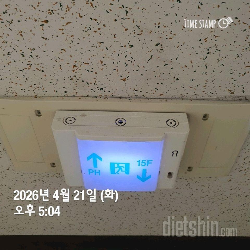 15일 계단 오르기41일차 성공!