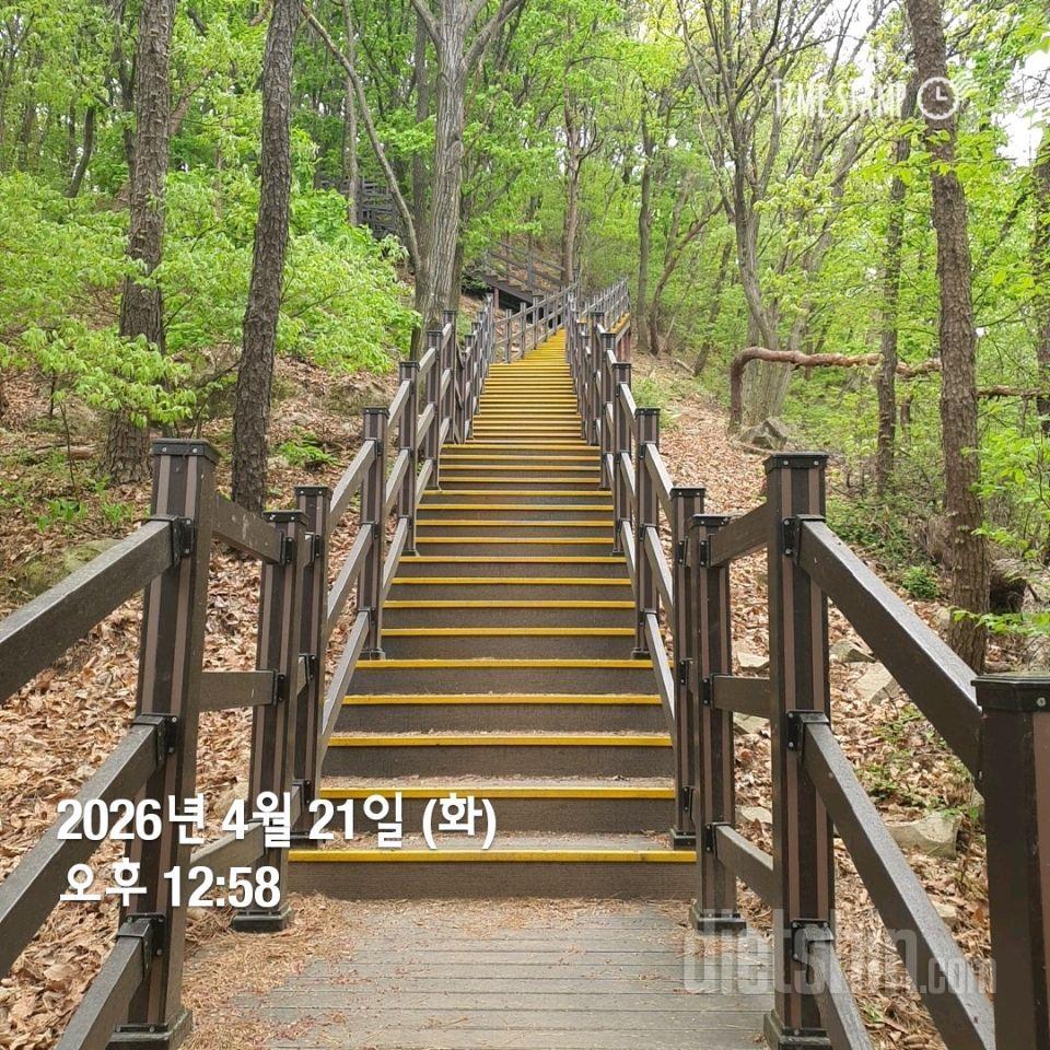 15일 계단 오르기41일차 성공!