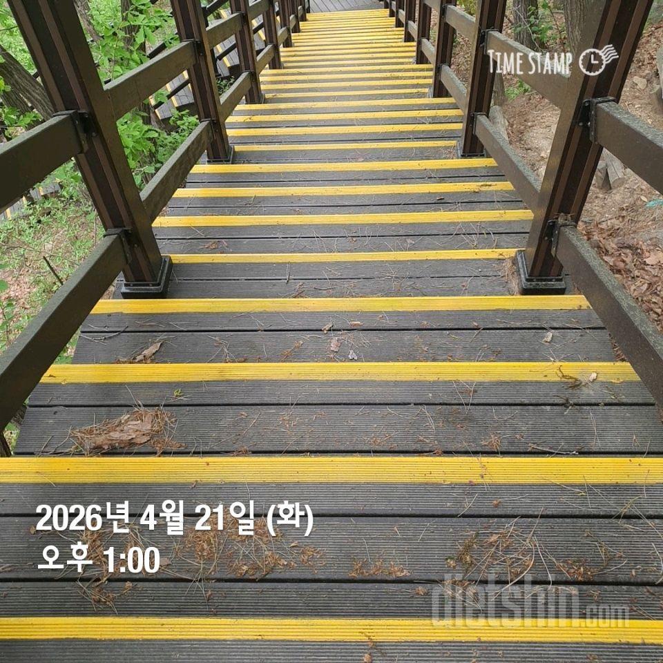 15일 계단 오르기41일차 성공!