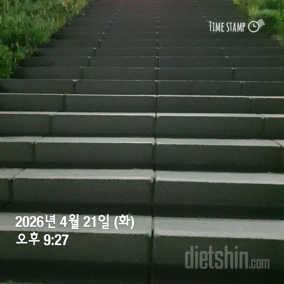 15일 계단 오르기41일차 성공!