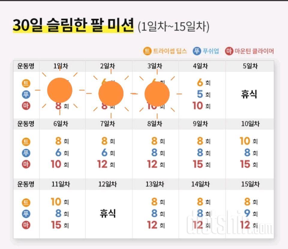 30일 슬림한 팔3일차 성공!