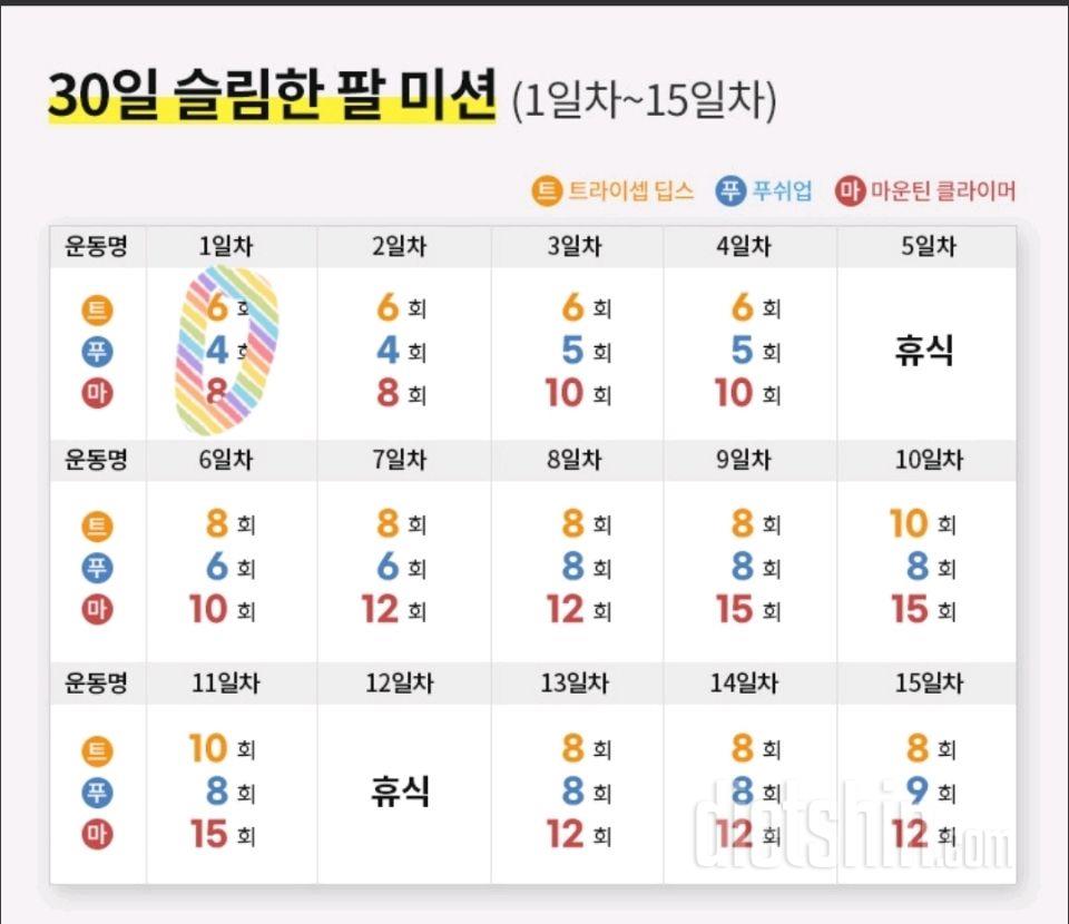 30일 슬림한 팔1일차 성공!
