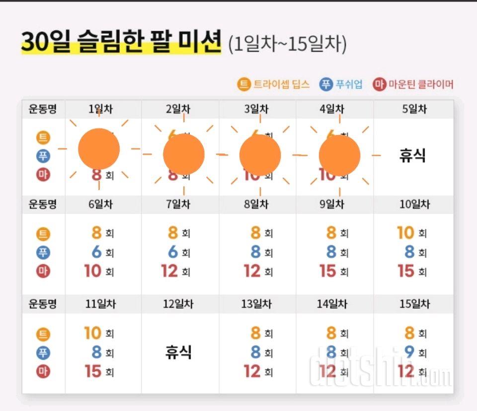 30일 슬림한 팔4일차 성공!