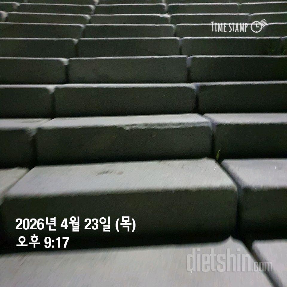 15일 계단 오르기43일차 성공!