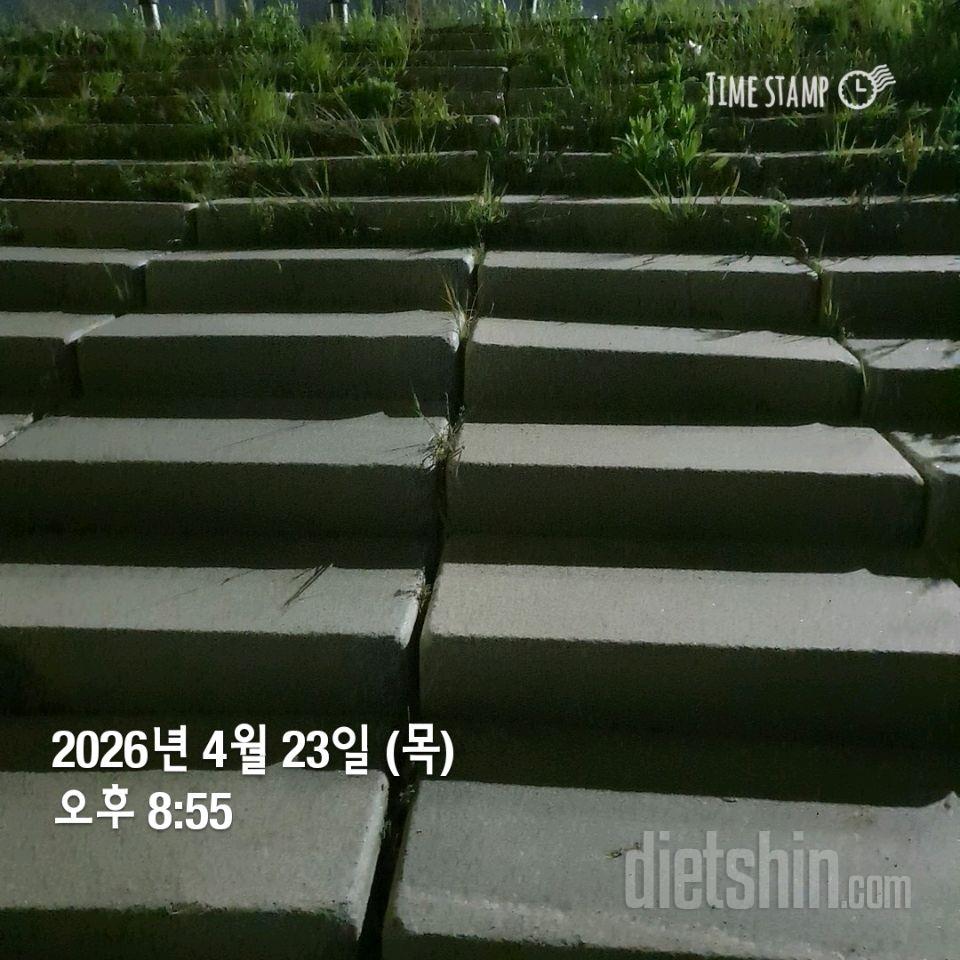 15일 계단 오르기43일차 성공!