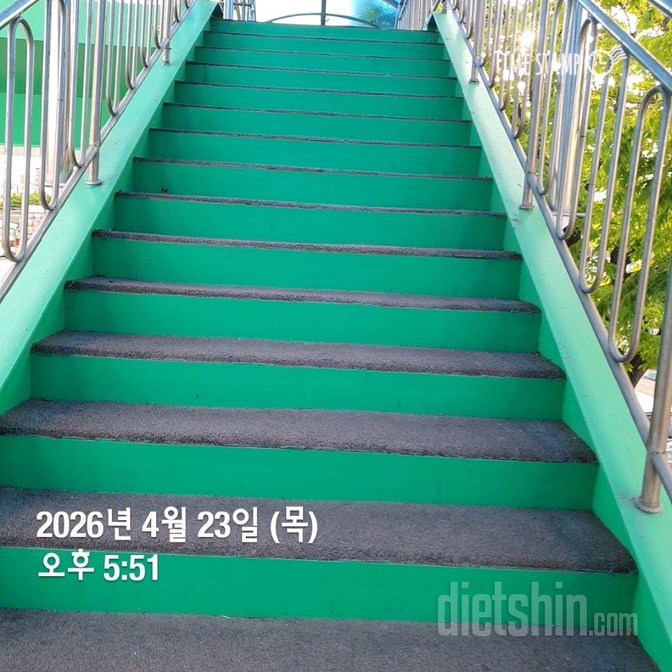 15일 계단 오르기43일차 성공!