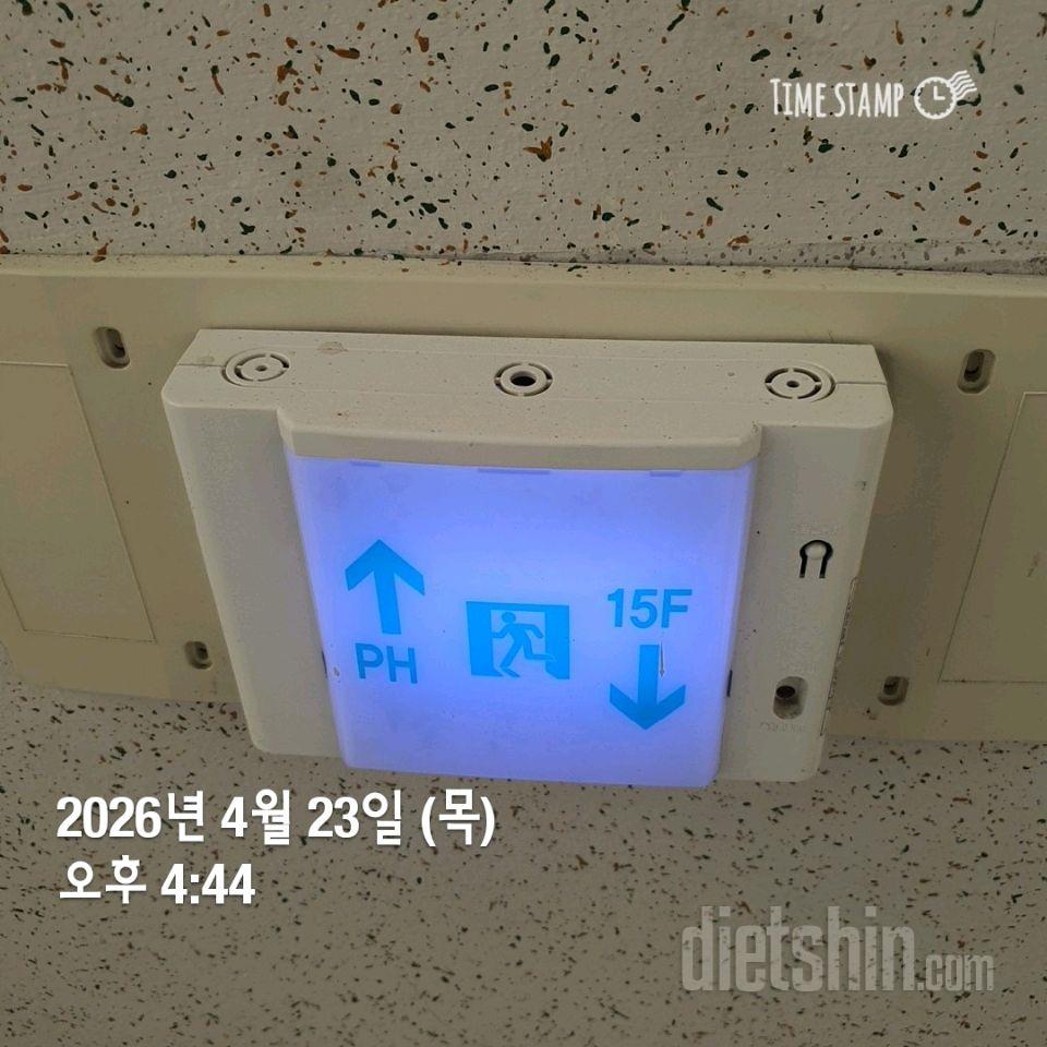 15일 계단 오르기43일차 성공!